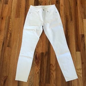 NWT Loft Jeans